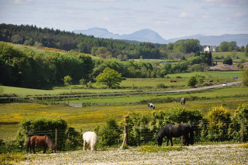 Wellsfield Farm Holiday Lodges Stirling Extérieur photo